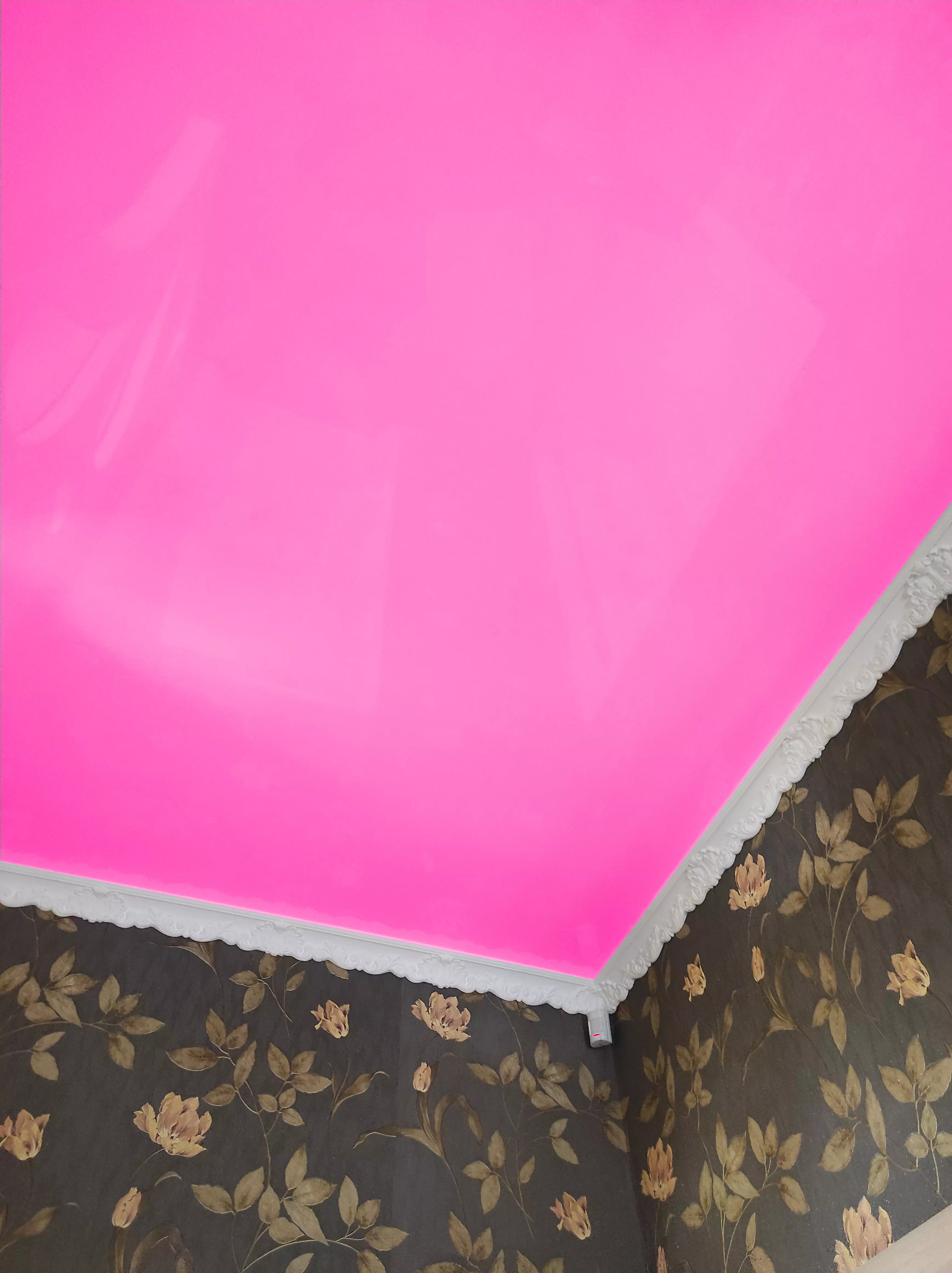 Пенза, Тарханова, 1/7, фото 2