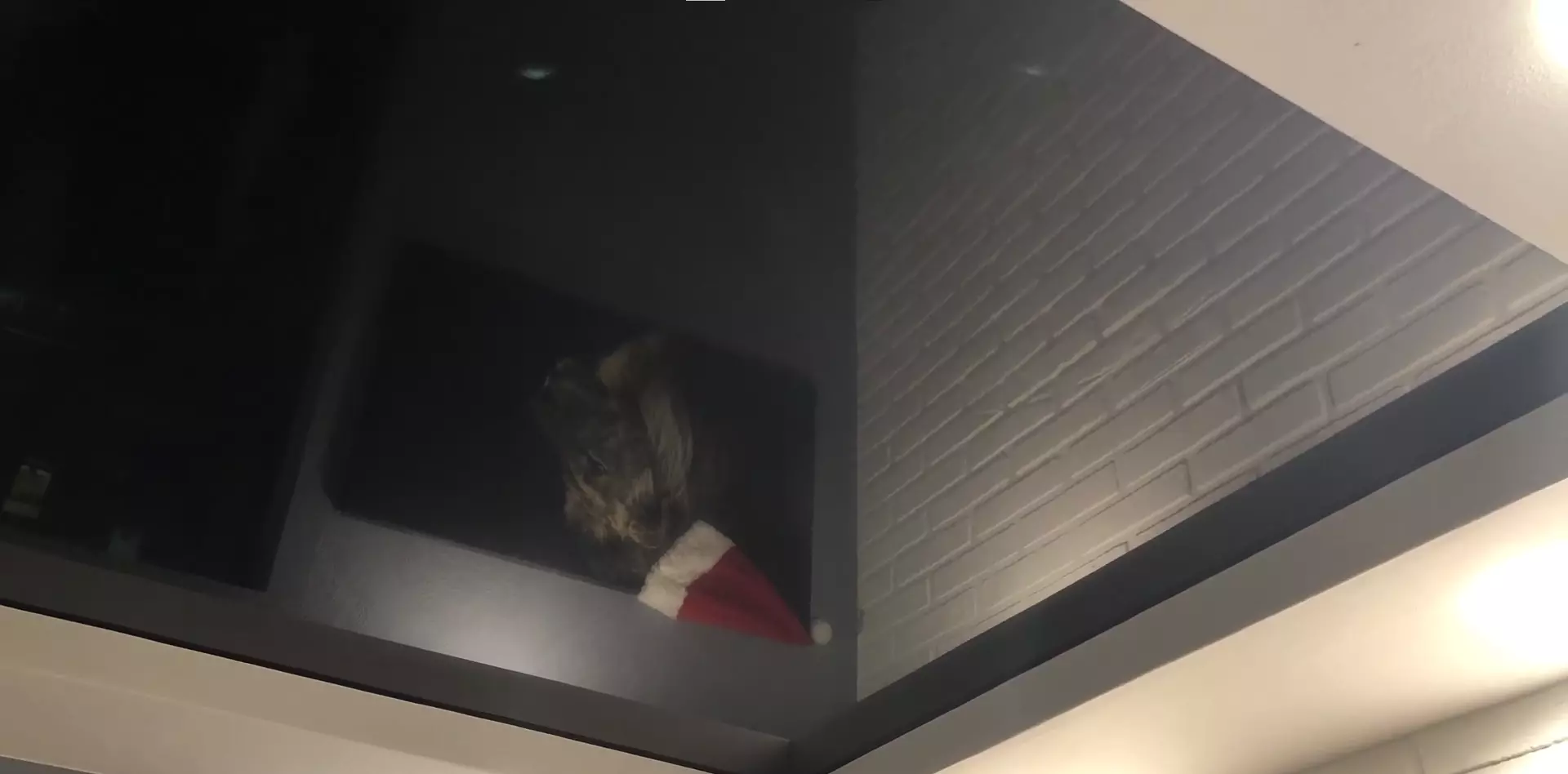 Новороссийск, Мурата Ахеджака, 3, фото 3